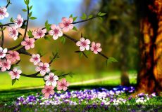 spring-flowers-landscape